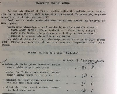 PICIOARE METRICE DE 2 SILABE.jpg (1.3MiB)Viewed 7776 times PICIOARE METRICE DE 2 SILABE.jpg