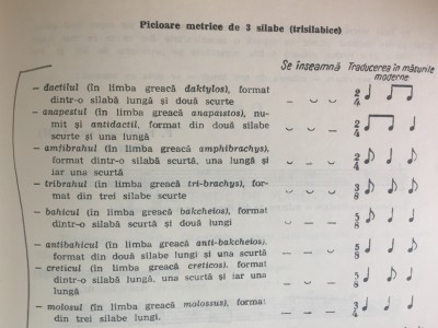 PICIOARE METRICE DE 3 SILABE.jpg (1.44MiB)Viewed 7769 times PICIOARE METRICE DE 3 SILABE.jpg